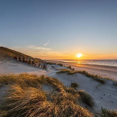 Stranddistel 3* Norderney