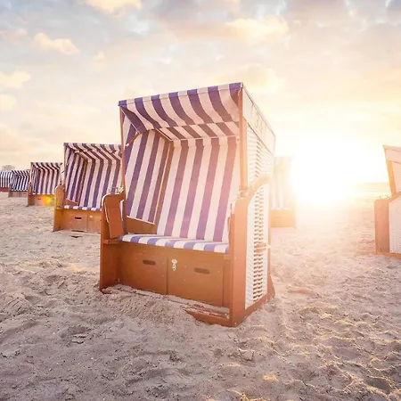 Stranddistel