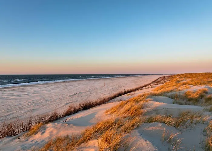 Отель Stranddistel